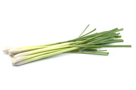 Buy Lemongrass Seeds for Your Home & Kitchen Garden | Lemongrass Herb ...