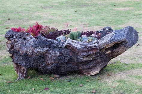 17 Gorgeously Rustic Log Planters And How To Make Them Diy And Crafts