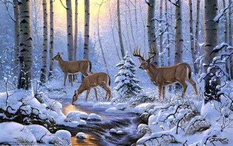 Deer Winter Scenes Wallpapers - 4k, HD Deer Winter Scenes Backgrounds on WallpaperBat