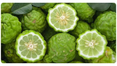 citrus bergamot  red yeast rice similarities differences