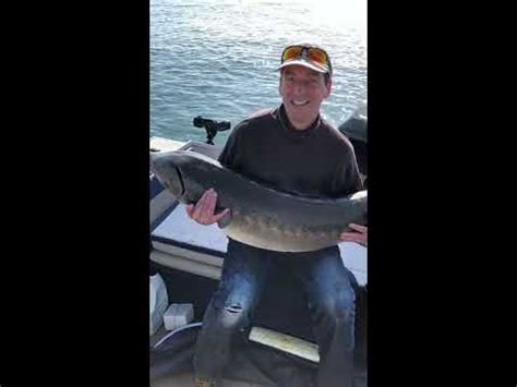 Gros Esturgeon Big Sturgeon Fall Youtube