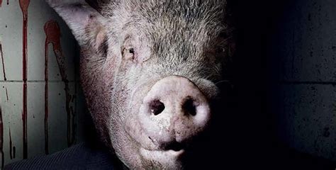 Sviňa - naše kultura