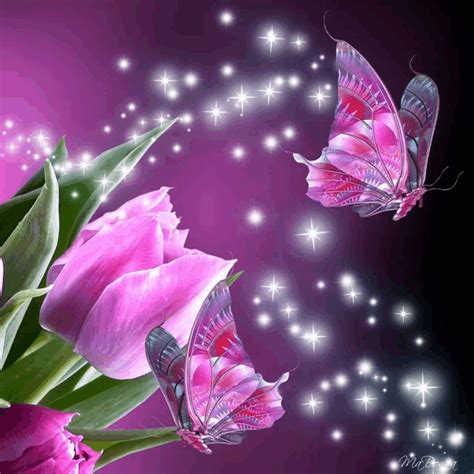 Animated Flower Wallpapers For Mobile