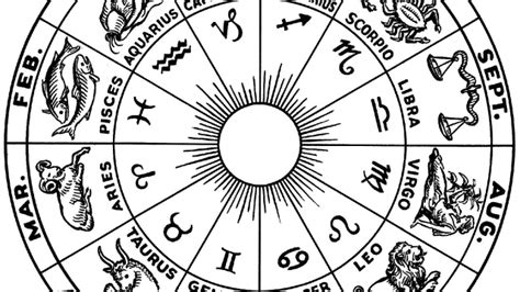 Los Signos Del Zodiaco