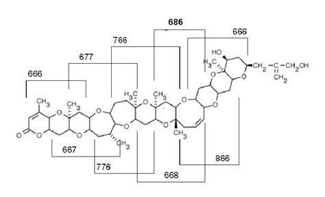 Brevetoxin showing three-ring segments. | Download Scientific Diagram