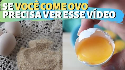 Comer Ovo Faz Bem Ou Mal Isso Acontece O Seu Corpo Se Comer Muito