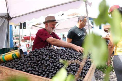 Festival da Jabuticaba começa nesta sexta feira em Sabará Portal