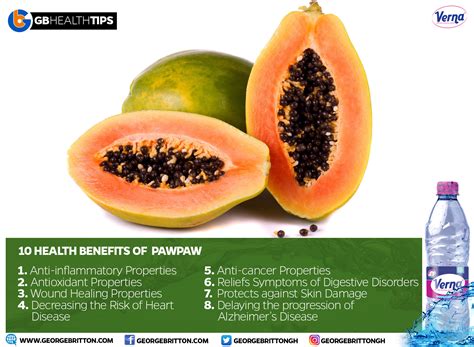 8 Impressive Health Benefits Of Pawpaw Gbafrica