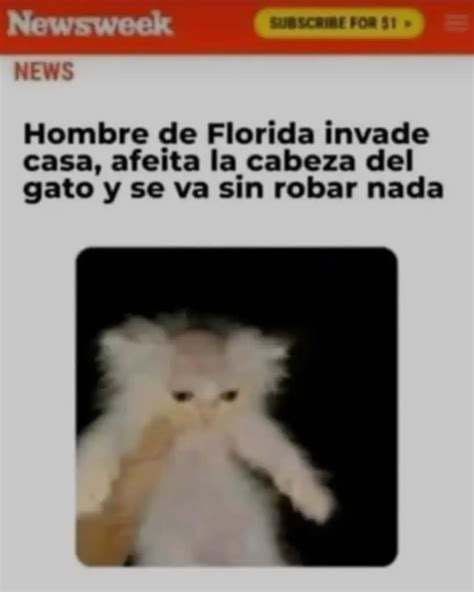 Hombre De Florida Invade Casa Afeita La Cabeza Del Gato Y Se Va Sin