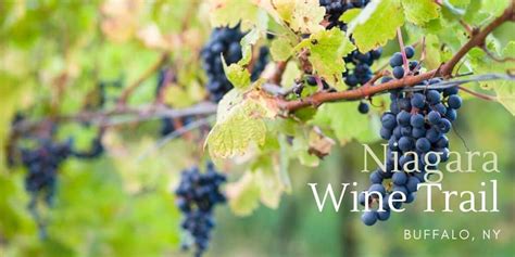 3 Wineries To Visit On The Niagara Wine Trail Going Awesome Places