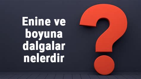 Enine ve boyuna dalgalar nelerdir Örnekleri ile konu anlatımı