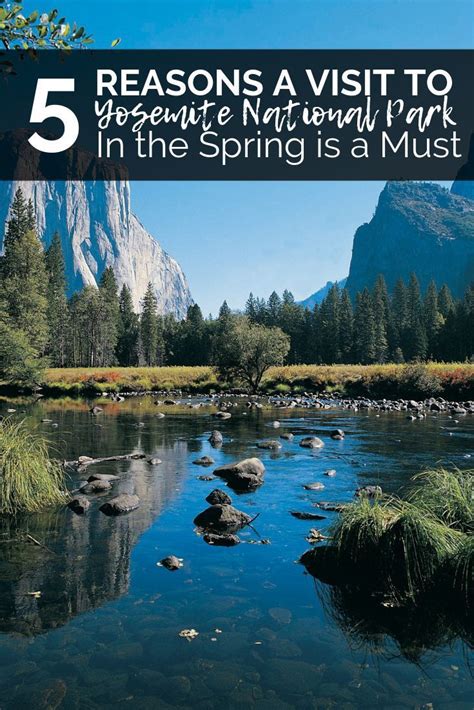 5 Reasons To Visit Yosemite National Park In The Spring Artofit