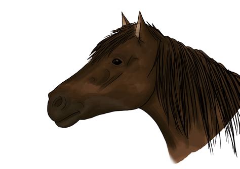 Dessin Cheval En Couleur Vlr Eng Br