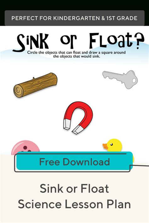 Sink Or Float Kindergarten Lesson