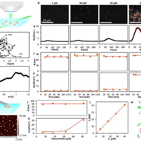 Characterization Of Self Assembled Xw Nanoparticles A Schematic