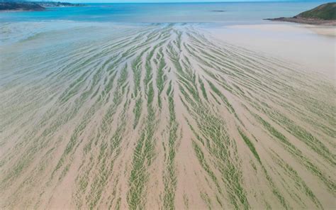 Frances Historic D Day Beaches Threatened By Rising Sea Levels Malay