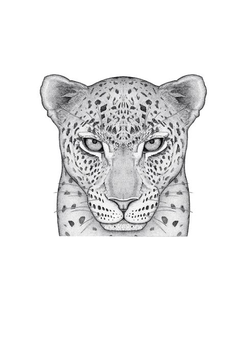 drawing a leopard 6