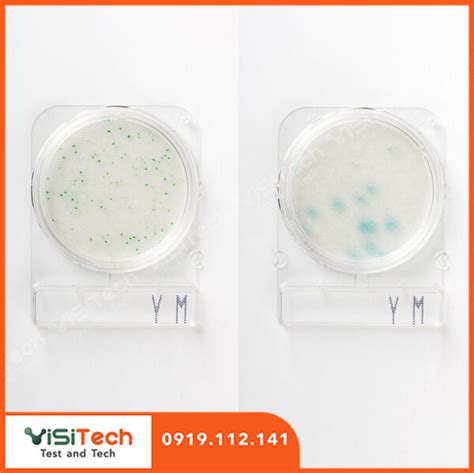 Đĩa Compact Dry kiểm tra Yeast Mold Compact Dry YM Nissui 100