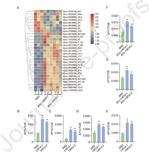 Cluster And Qrt Pcr Analyses Of Degs In The Sams Of W82 Williams 82