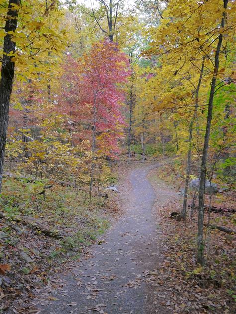 American Travel Journal: Look Rock Tower Trail - Foothills Parkway ...