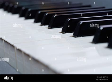 Teclas De Piano En Blanco Y Negro De Instrumentos Fotograf As E