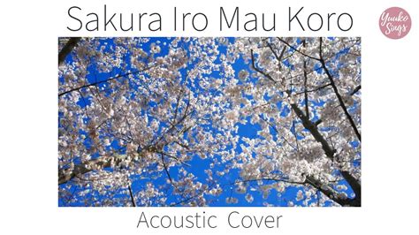 【yuuko Sings】sakura Iro Mau Koro Mika Nakajima Acoustic Cover Ft Mrchillax Youtube