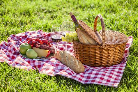 Como Disfrutar Del Picnic Perfecto En La Mejor Compañia Rtvees