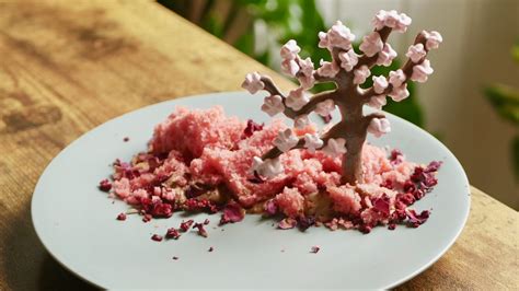 Cherry Blossom Tree Dessert - Chef Studio