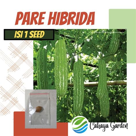 Jual Benih Paria Hibrida F1 KOMANDO Bibit Pare Hibrida Shopee Indonesia