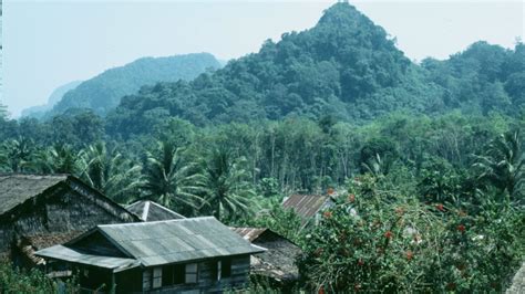 These Scientists Are Listening to the Borneo Rainforest to Protect ...