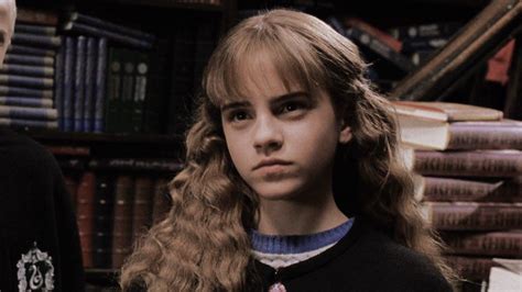 Hermione Granger Chamber Of Secrets