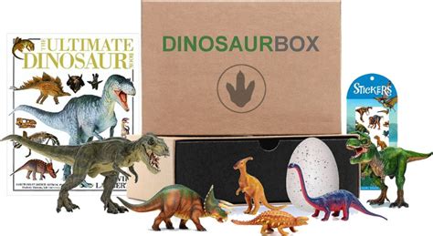 Dinosaur Box Subscription Box - 2 Little Rosebuds