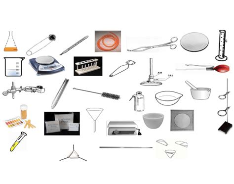 biology lab equipment worksheet  willard corey blog