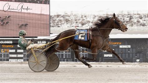 On The Fast Track To Success Hunter Myers — The Pennsylvania Horse