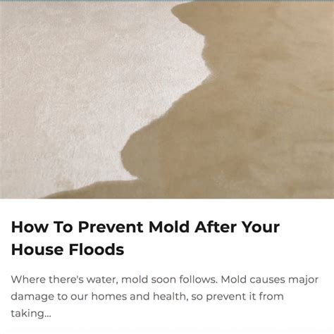 How To Prevent Mold After Your House Floods | TMR