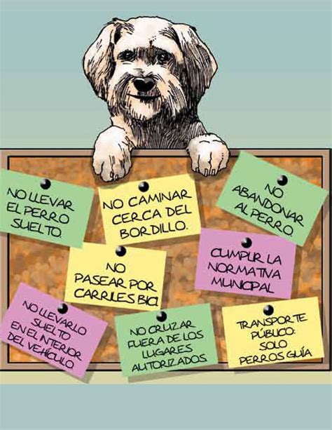 Consejos Para Salir A Pasear A Tu Perro MASCOTETES