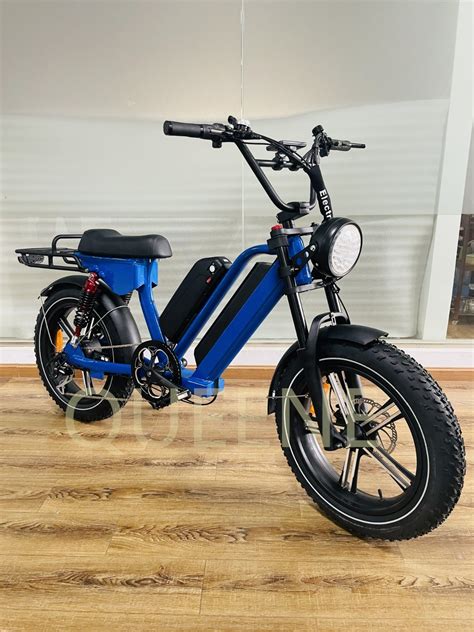 Queene 2022 Step Thru E Bike Dual Battery Bicicleta Electric Mountain