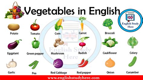 Vegetables In English English Study Here