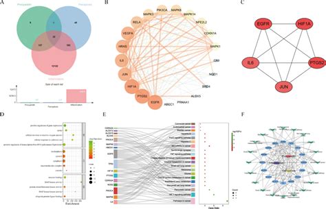 Mechanism of action of procyanidin against inflammation by targeting ...