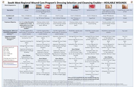 Wound Dressing Selection Chart A Visual Reference Of Charts Chart Master