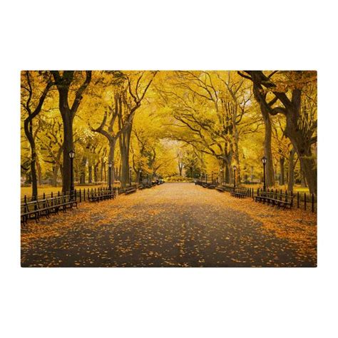 Akustikbild Herbst Im Central Park