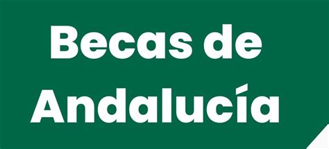 Becas de la Junta de Andalucía Actualizado I E S Mediterráneo