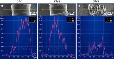 Comparison Of The Eds Line Scan Analysis Along The Yellow Line For A