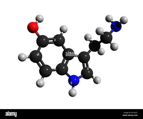 Thrombotonin Hi Res Stock Photography And Images Alamy