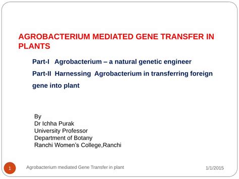 Pdf Agrobacterium Mediated Gene Transfer In Plants Dokumen Tips