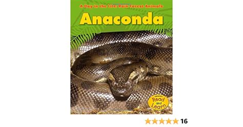 Amazon River Anaconda Facts