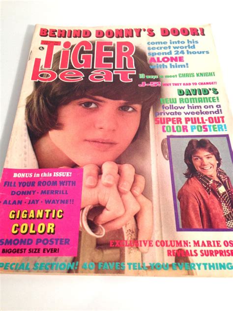 Sale Tiger Beat Magazine Vintage 1972 Donnie Osmond David Etsy