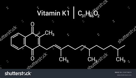 Chemical Structure Of Vitamin K C H O Royalty Free Stock Vector