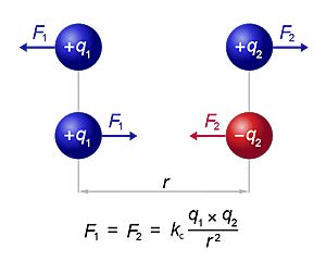 Interacci N Electrost Tica Timeline Timetoast Timelines