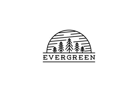 Pine Evergreen Tree Forest Line Art Logo Graphic by quatrovio ...